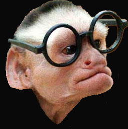 SINGE